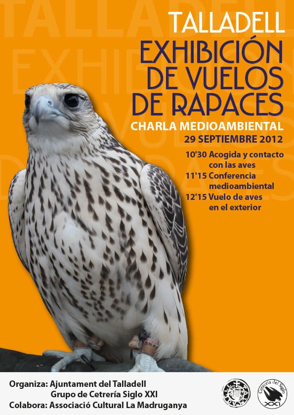 [Joan Alonso Design] Cartelería | Cetrería del siglo XXI