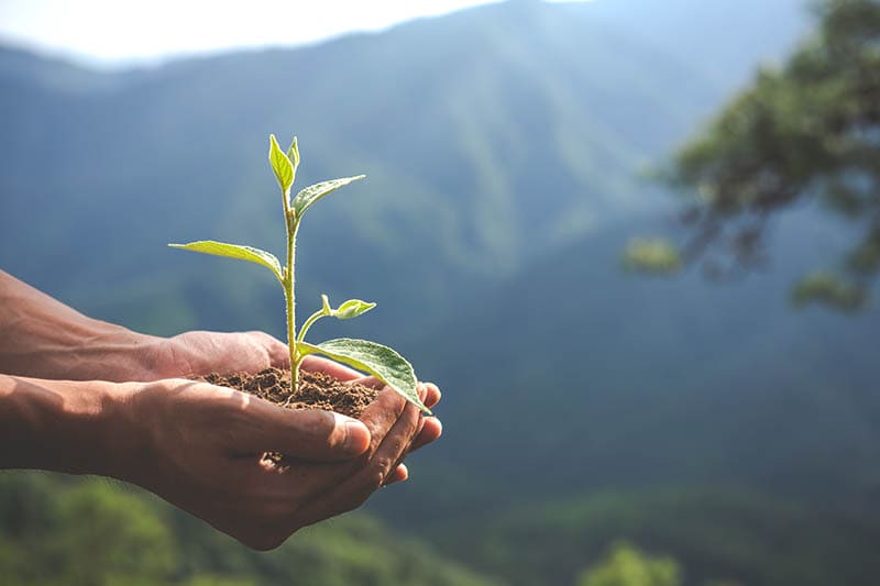Tecnología sostenible para la conservación del medio ambiente