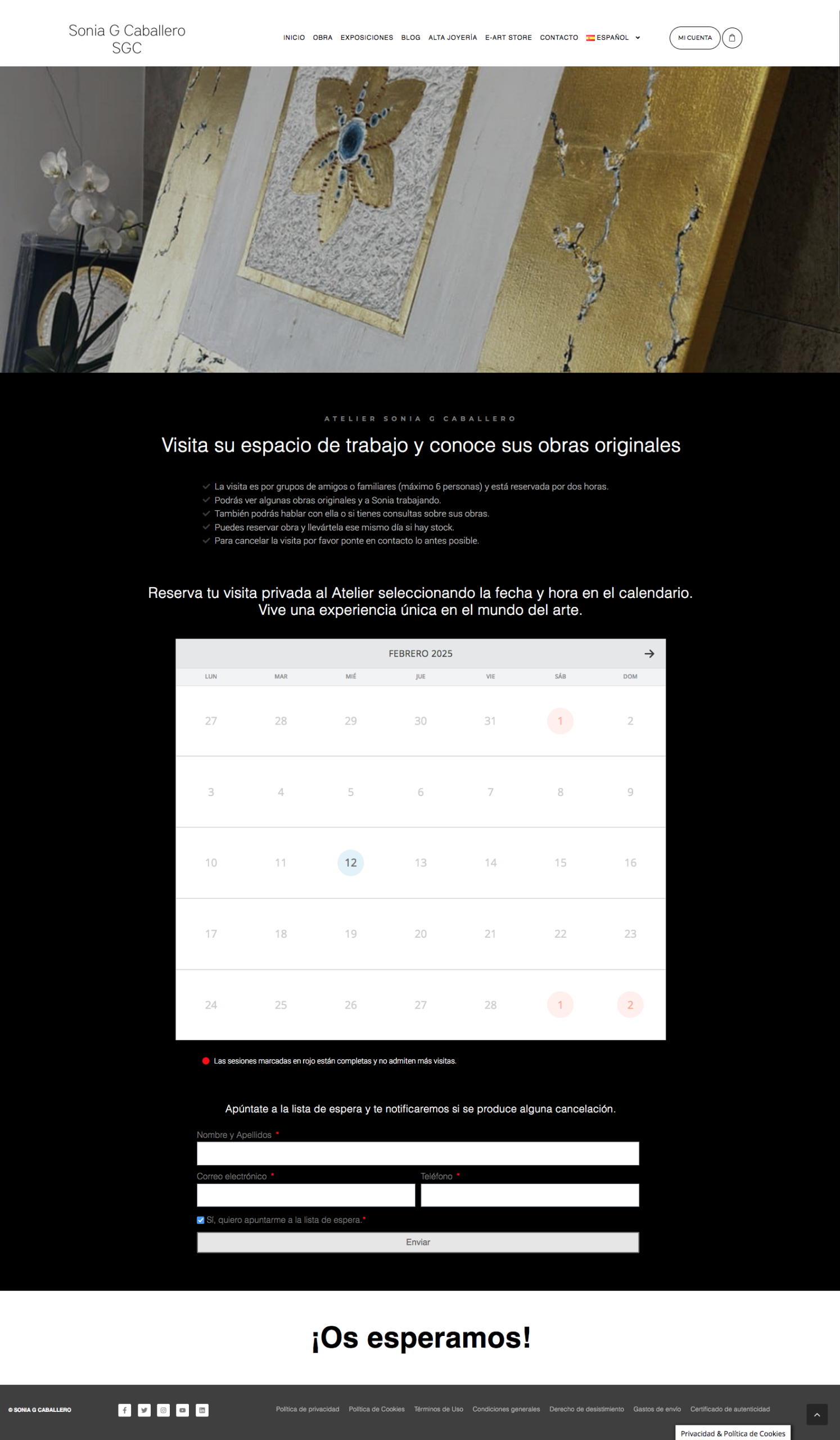 Restyling Web SoniaGCaballero