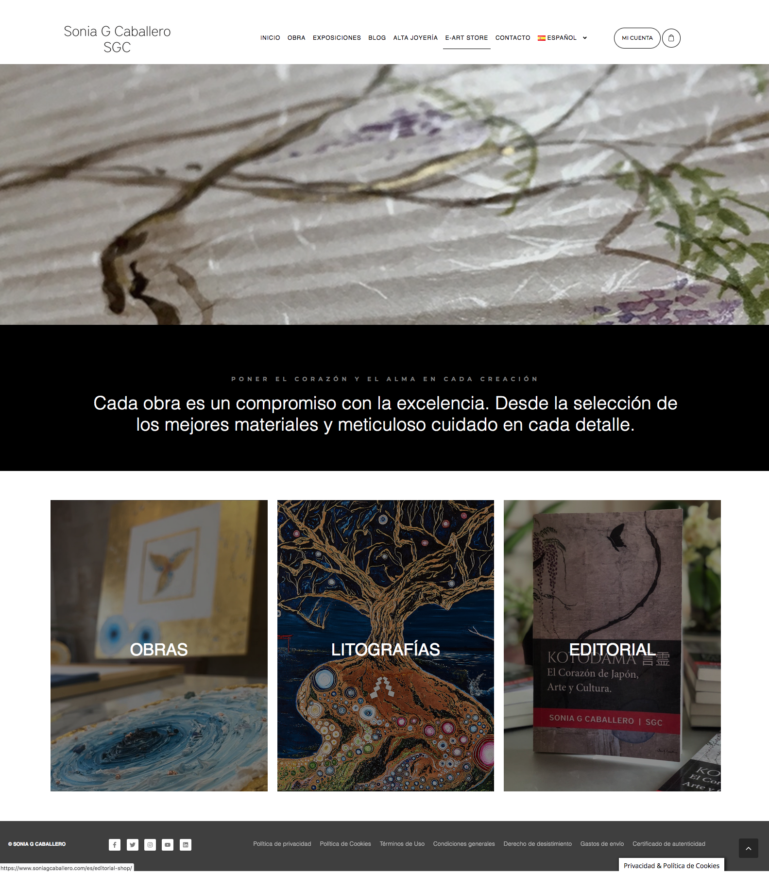 Restyling Web SoniaGCaballero